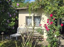 Działka rod Wrocław Śródmieście, ul. Odona Bujwida. Zdjęcie 2