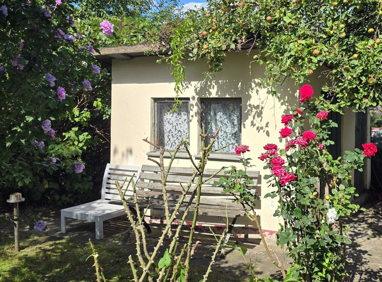 Działka rod Wrocław Śródmieście, ul. Odona Bujwida. Zdjęcie 3