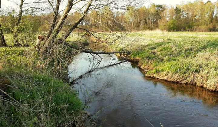 Działka rolna Lefranów