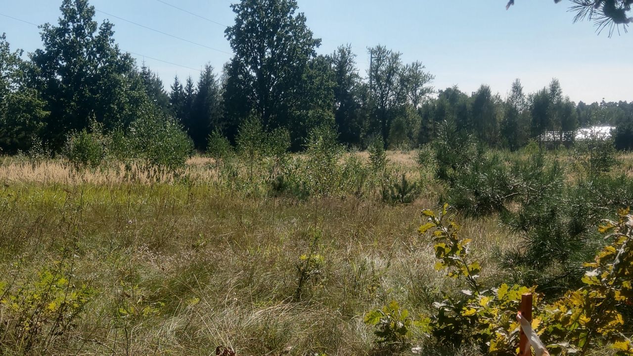 Działka budowlana Pławno. Zdjęcie 8