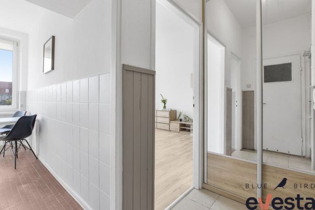 Mieszkanie 1-pokojowe Wrocław Śródmieście, pl. Muzealny. Zdjęcie 6