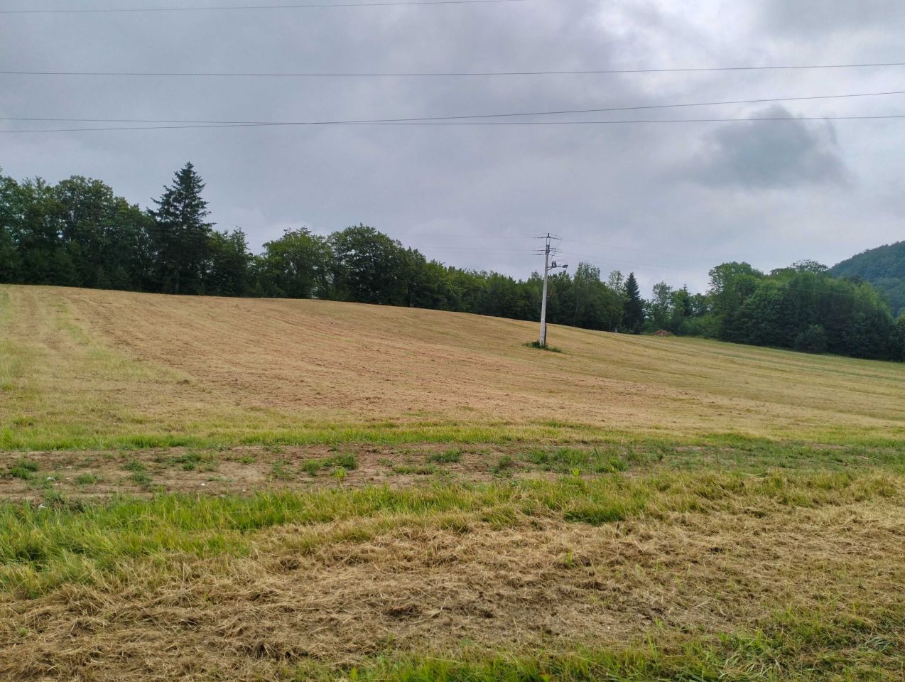 Działka budowlana Bukowiec