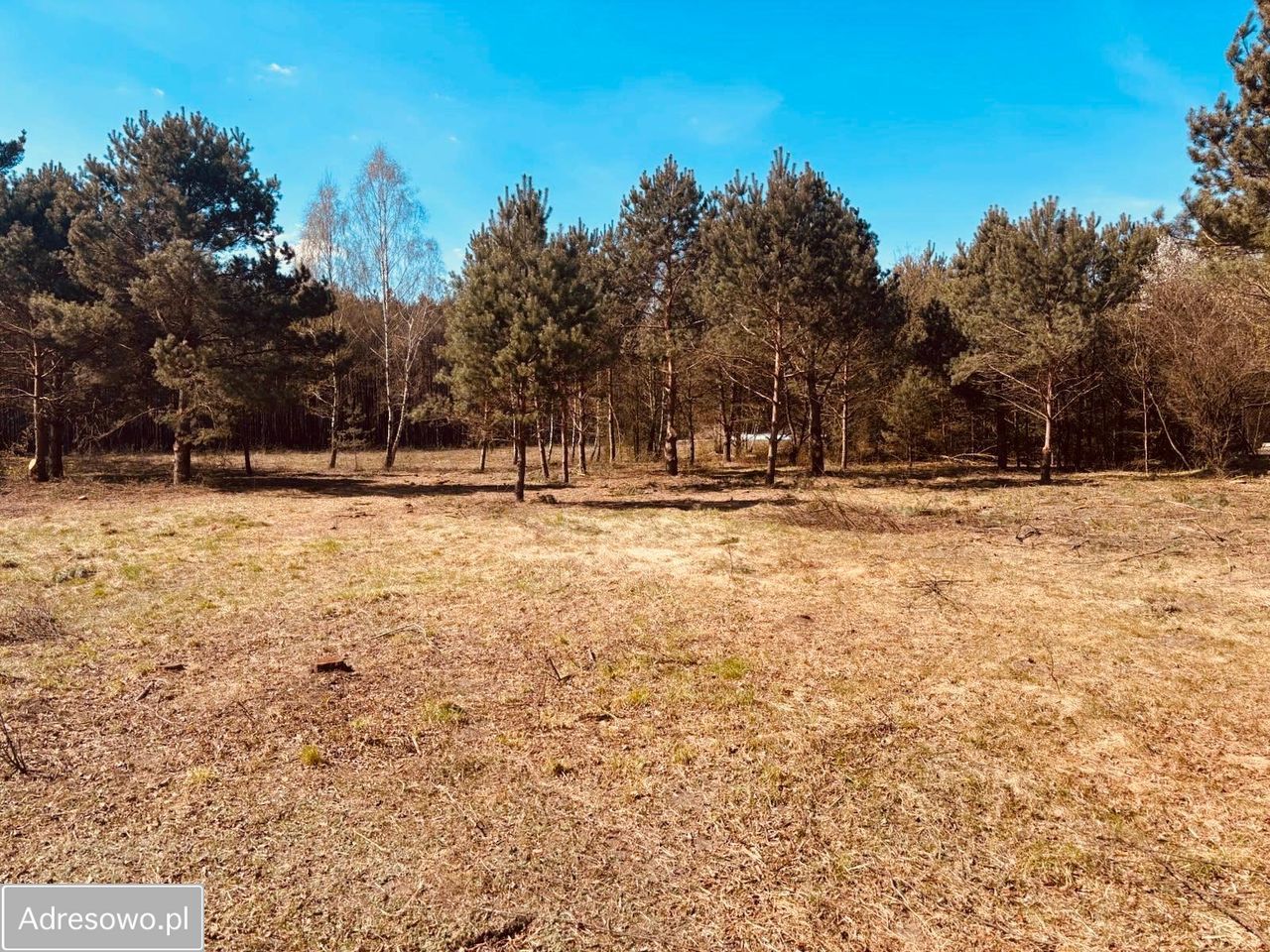 Działka budowlana Ostrów Mazowiecka, ul. Romualda Traugutta. Zdjęcie 13