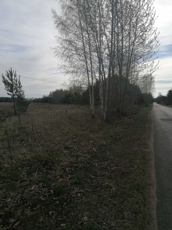 Działka budowlana Serwy. Zdjęcie 2