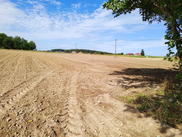 Działka budowlana Celiny, ul. Łanowa. Zdjęcie 1