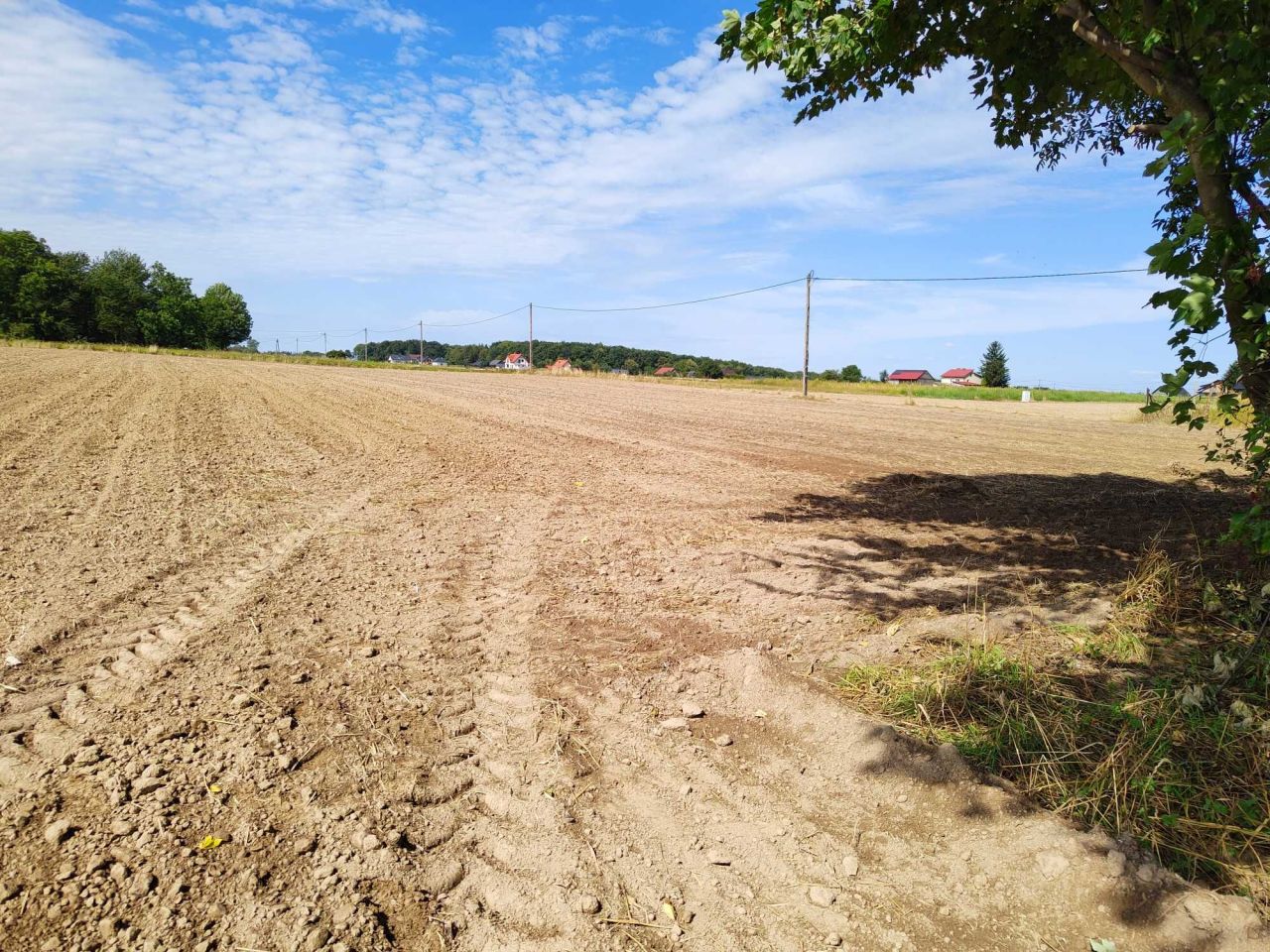 Działka budowlana Celiny, ul. Łanowa. Zdjęcie 1