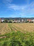 Działka rolno-budowlana Frydman, Działka pod zabudowę 397 m² – Frydman, okolice Jeziora Czorsztyń. Zdjęcie 3