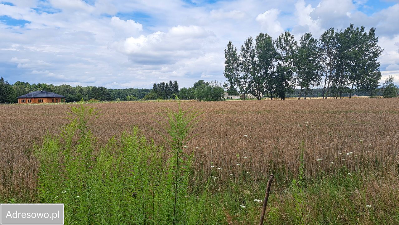 Działka rekreacyjna Rogóźno. Zdjęcie 4