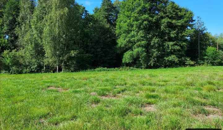 Działka budowlana Frydrychowice, ul. Górna