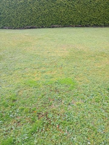 Działka budowlana Płośnica, ul. Dworcowa. Zdjęcie 1