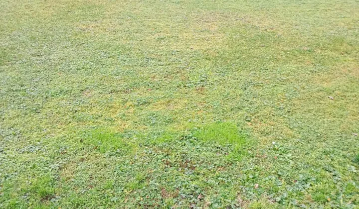 Działka budowlana Płośnica, ul. Dworcowa