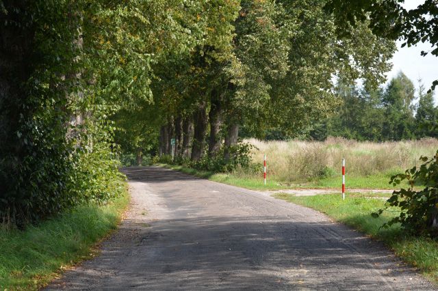 Działka budowlana Gościno, ul. Lipowa. Zdjęcie 1