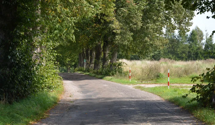 Działka budowlana Gościno, ul. Lipowa