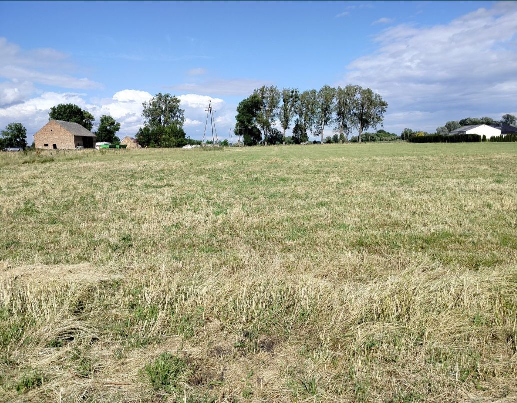 Działka rolna Głuchowo, ul. Lemierzycka. Zdjęcie 6