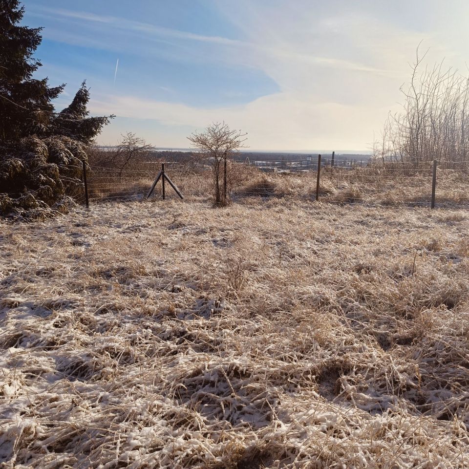 Działka rod Szczecin Bukowo, ul. Podgórna. Zdjęcie 8