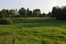 Działka budowlana Rydzewo. Zdjęcie 4