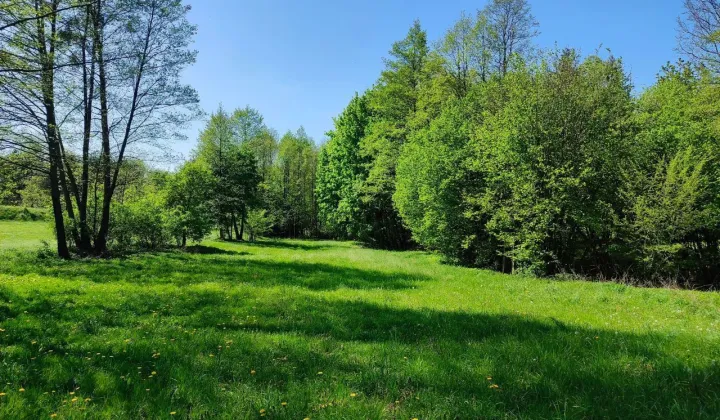 Działka siedliskowa Skudzawy