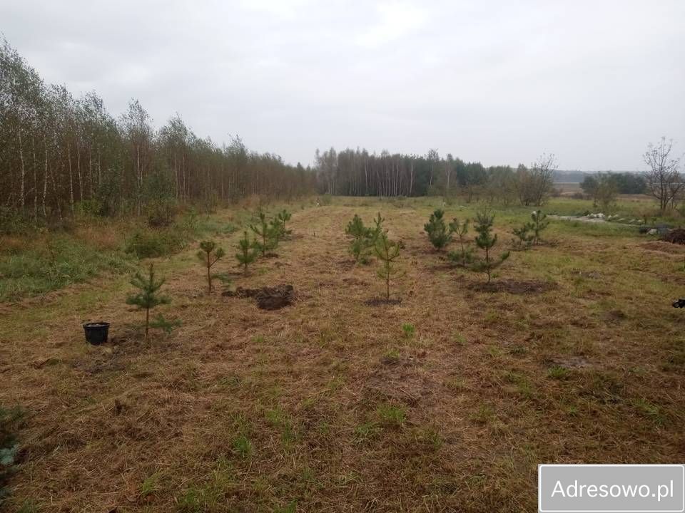 Działka budowlana Tokarnia