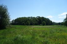 Działka rolna Ochaby Małe Bagna. Zdjęcie 4