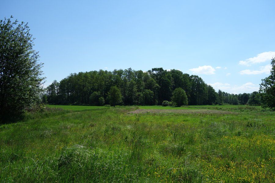 Działka rolna Ochaby Małe Bagna. Zdjęcie 5