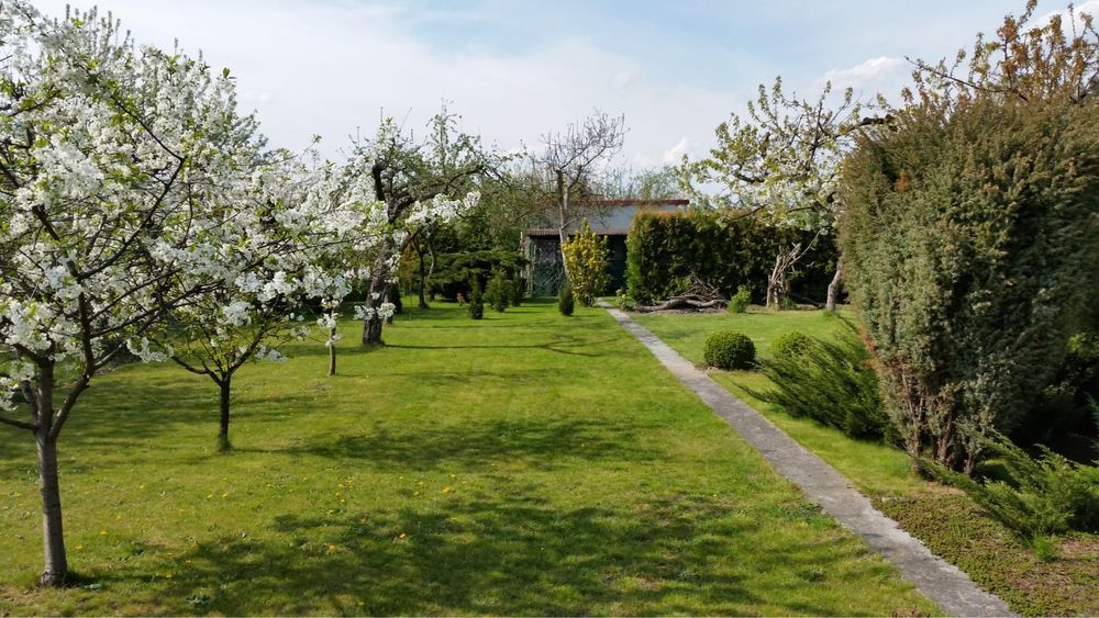 Działka rekreacyjna Kalisz, ul. Borkowska