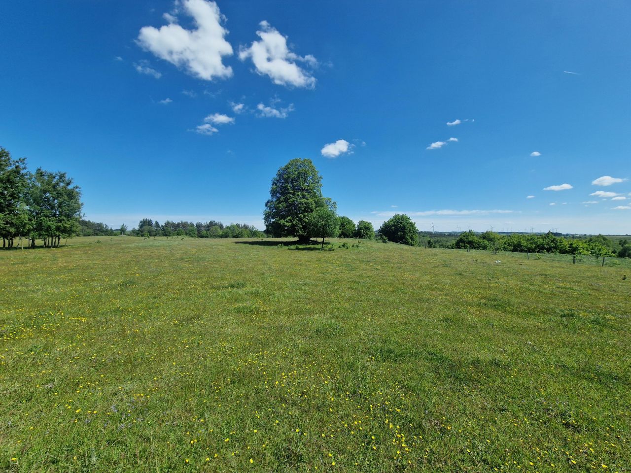 Działka inwestycyjna Malesowizna. Zdjęcie 3