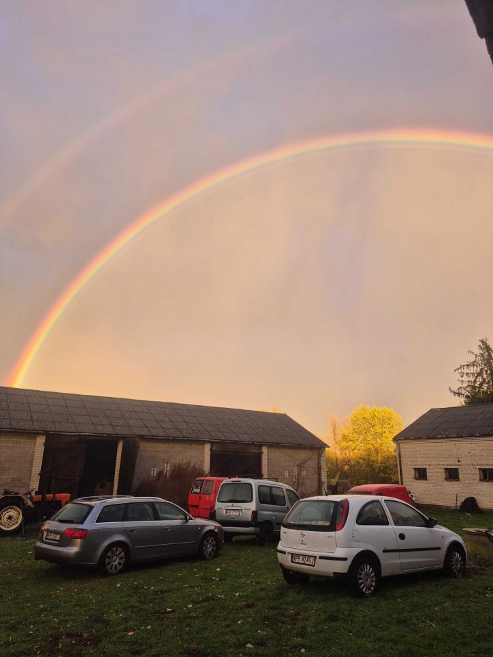 Działka rolna Milęcin. Zdjęcie 3