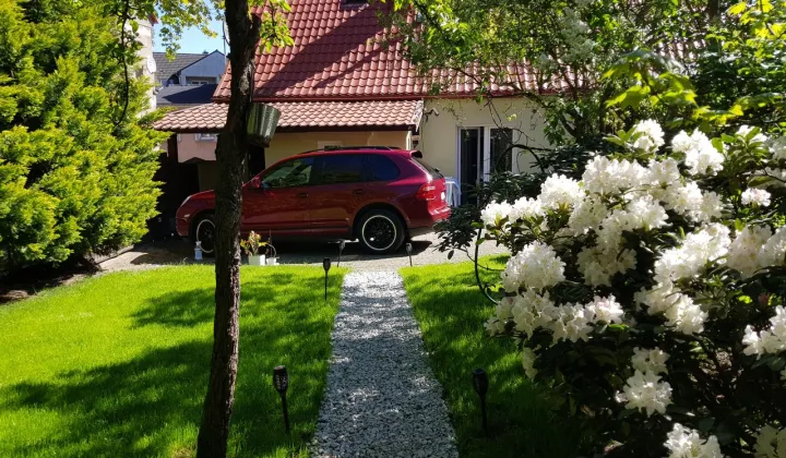 dom wolnostojący, 5 pokoi Zielona Góra Centrum