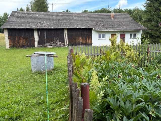 gospodarstwo Święcany. Zdjęcie 6