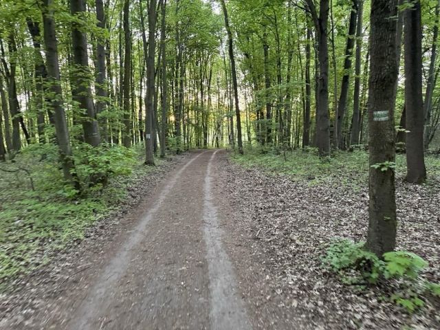 Działka budowlana Poznań Strzeszyn. Zdjęcie 3