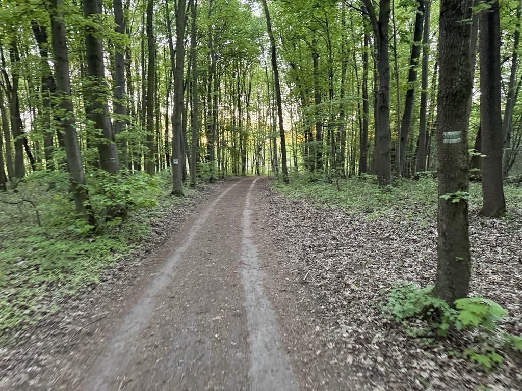 Działka budowlana Poznań Strzeszyn. Zdjęcie 3