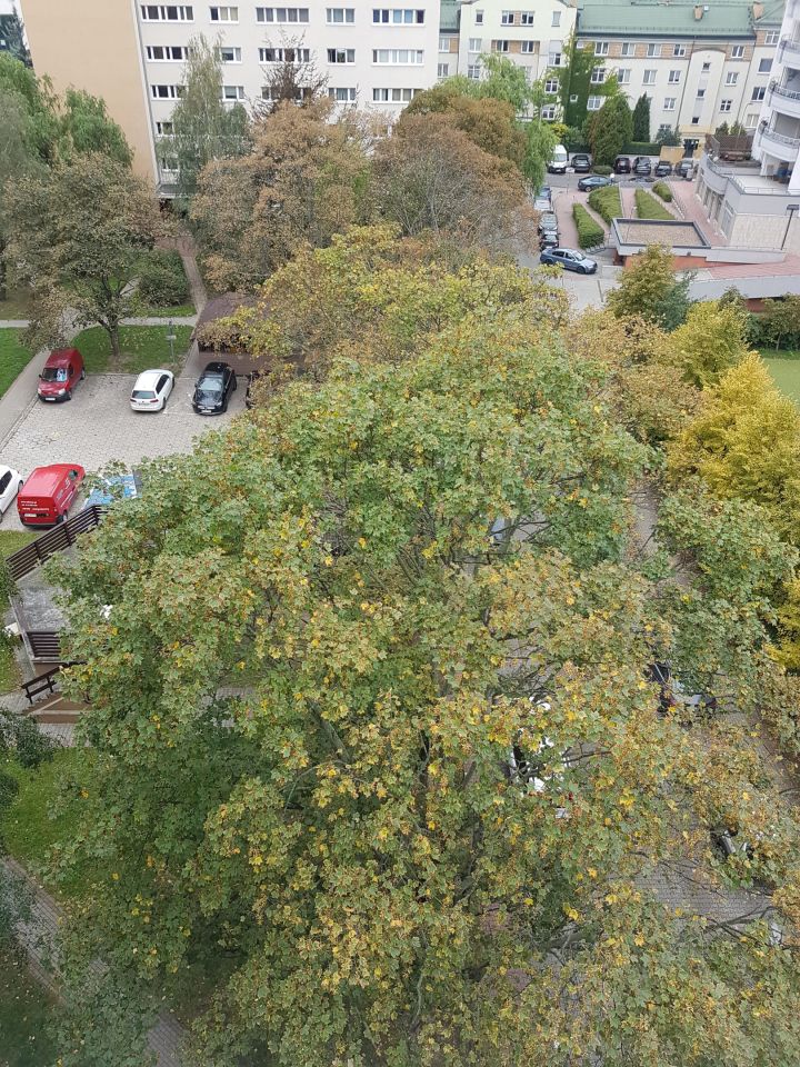 Mieszkanie 1-pokojowe Warszawa Ochota, ul. Racławicka. Zdjęcie 8