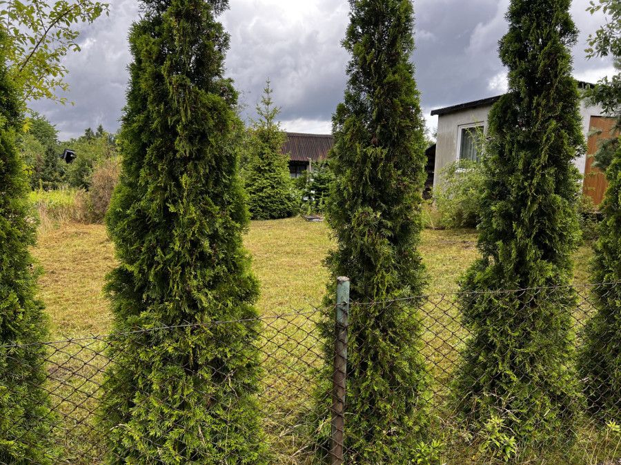 Działka rod Gdańsk Klukowo. Zdjęcie 6