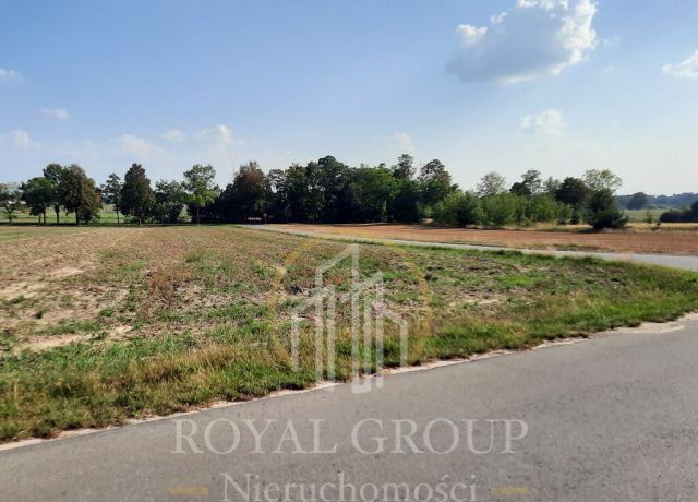 Działka rolna Rudno. Zdjęcie 5