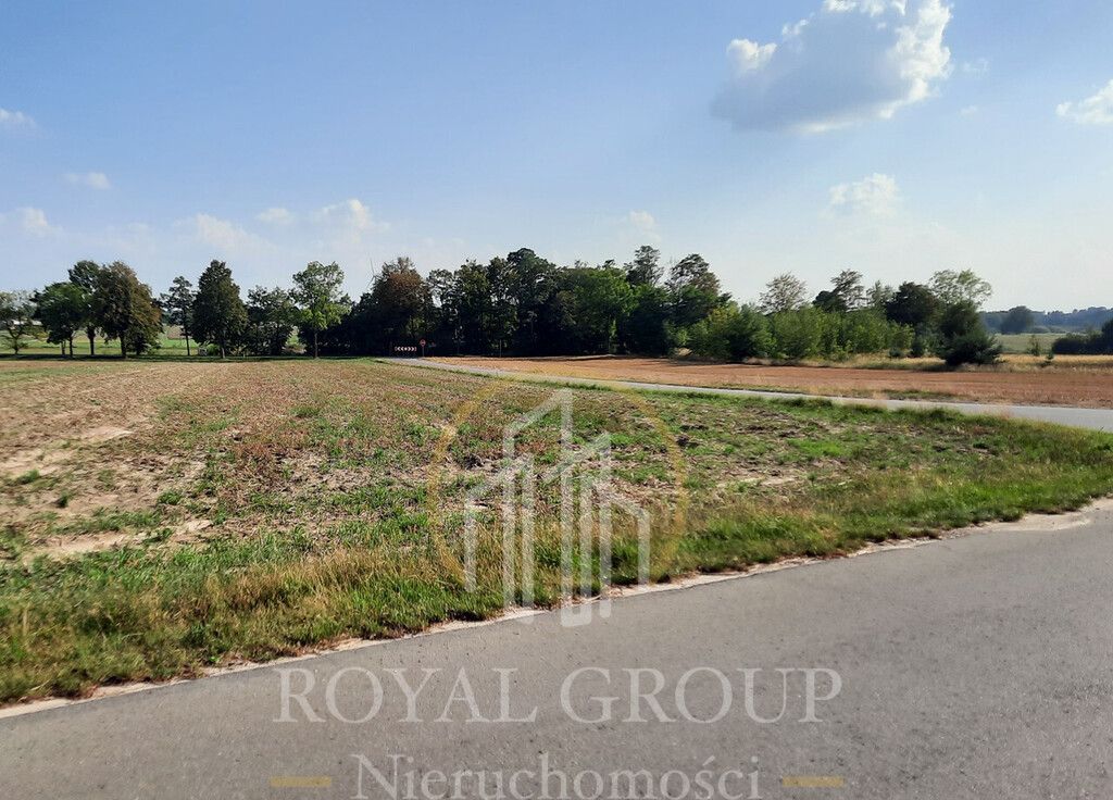 Działka rolna Rudno. Zdjęcie 5