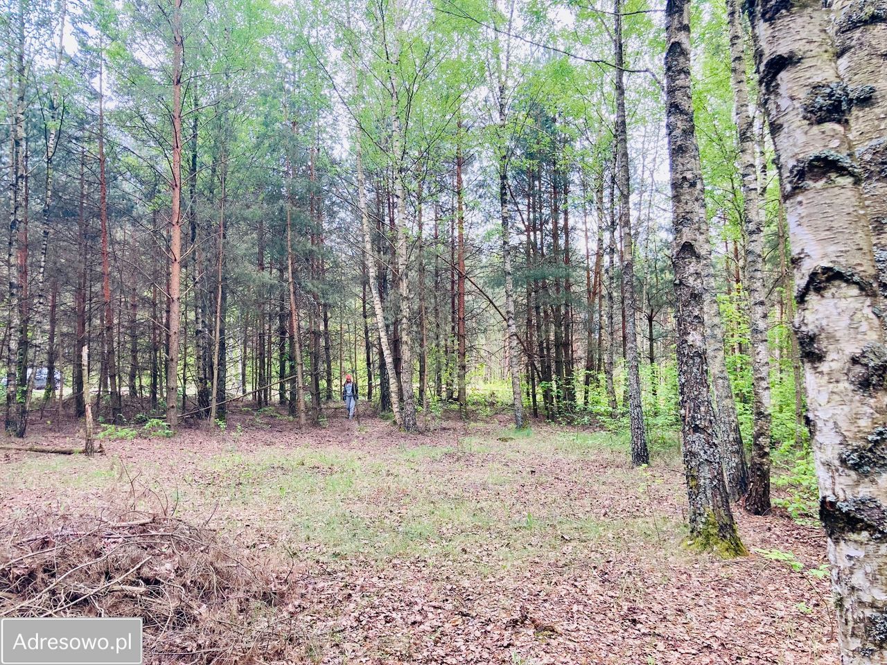 Działka budowlana Ciwoniuki