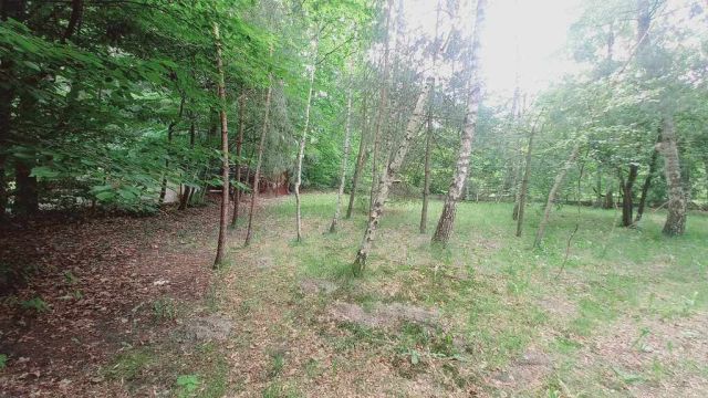 Działka budowlana Złotokłos. Zdjęcie 25