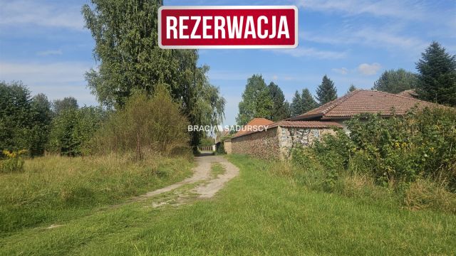 Działka inwestycyjna Cholerzyn. Zdjęcie 1