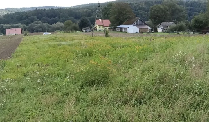 Działka budowlana Słonne