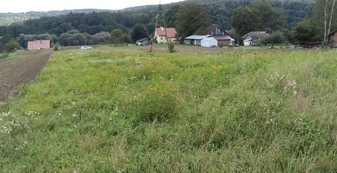 Działka budowlana Słonne. Zdjęcie 1