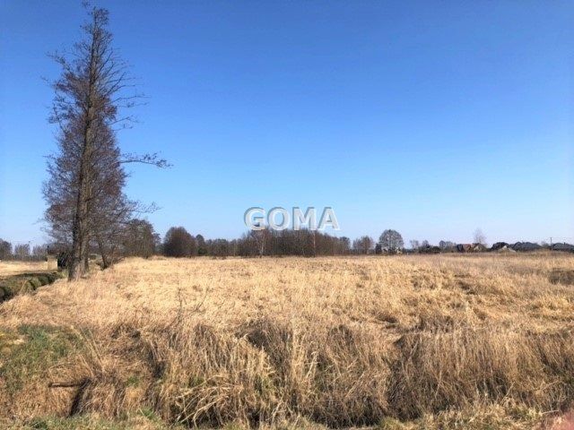 Działka siedliskowa Dębe Wielkie. Zdjęcie 9