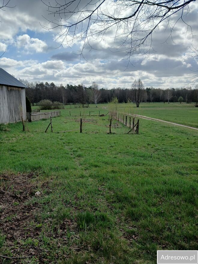 Działka siedliskowa Michałówka. Zdjęcie 11