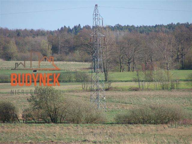 Działka rolna Karsino. Zdjęcie 5