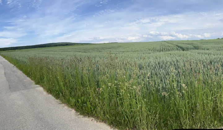 Działka rolna Piotrów Podłazy