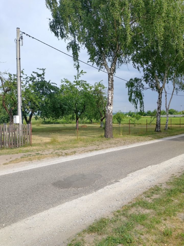 gospodarstwo, 2 pokoje Zgorzelec. Zdjęcie 9