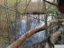 Działka inwestycyjna Kąty Czernickie. Zdjęcie 4