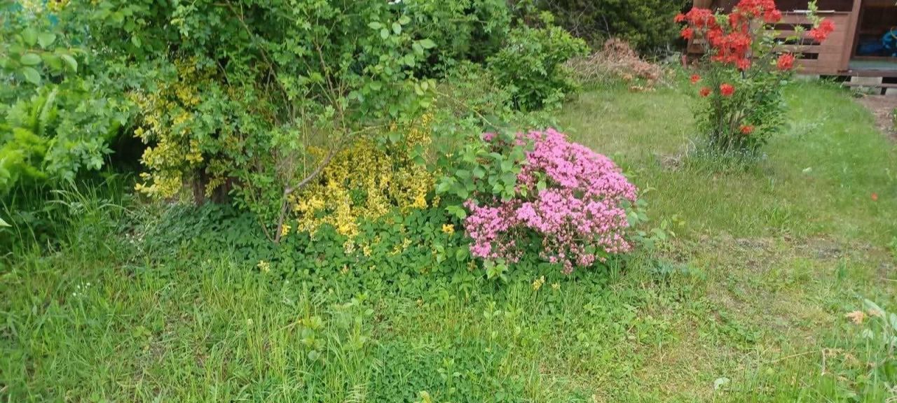 Działka rod Szczecin Pogodno. Zdjęcie 4