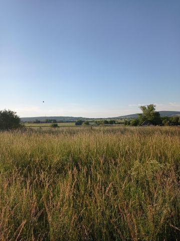 Działka rolno-budowlana Łagów, ul. Akacjowa. Zdjęcie 1