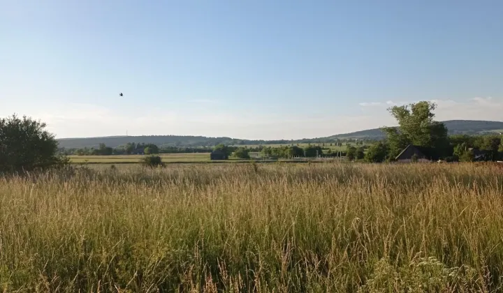 Działka rolno-budowlana Łagów, ul. Akacjowa