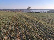 Działka rolno-budowlana Żałe. Zdjęcie 1